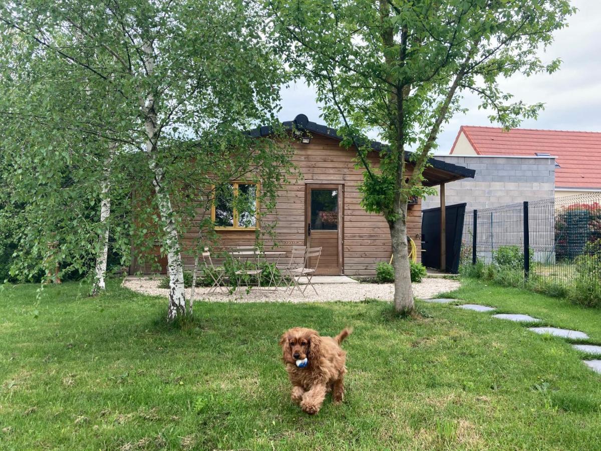 Chalet Proche Orleans Centre Saint-Jean-le-Blanc Exterior foto